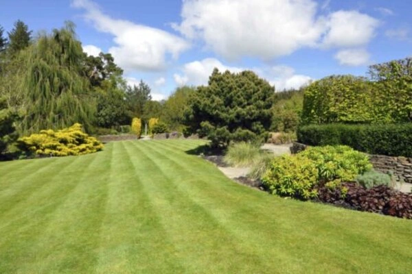 Professional landscaping company in Keller, TX Professional landscaping company in Keller, TX