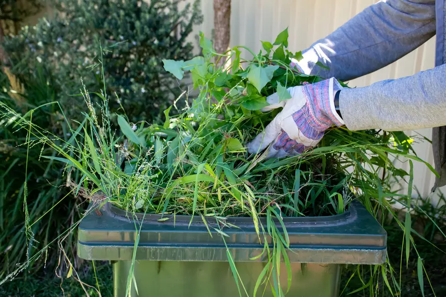 Common Weeds And Their Effect On Landscaping Keller, TX Common Weeds And Their Effect On Landscaping Keller, TX