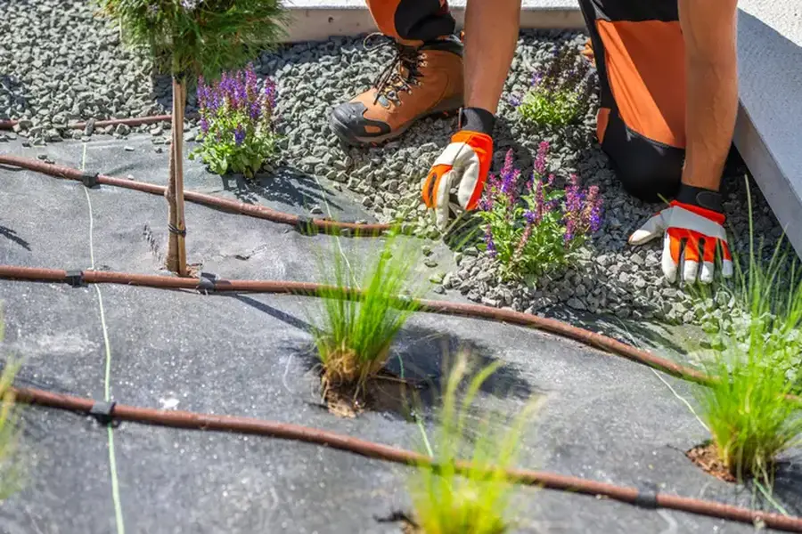Expert Landscape Installation Keller, TX Expert Landscape Installation Keller, TX
