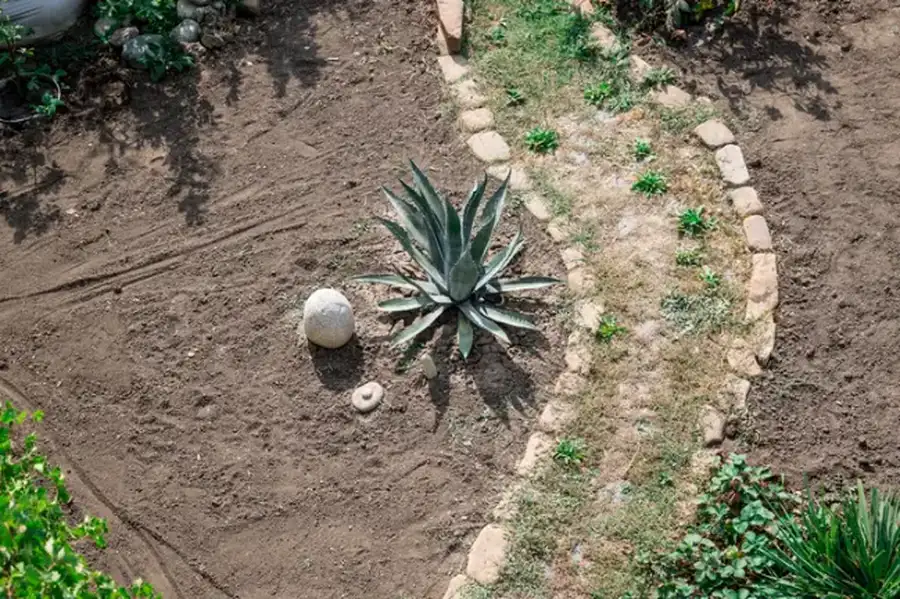 How Landscape Installation Improves Property Drainage Keller, TX How Landscape Installation Improves Property Drainage Keller, TX