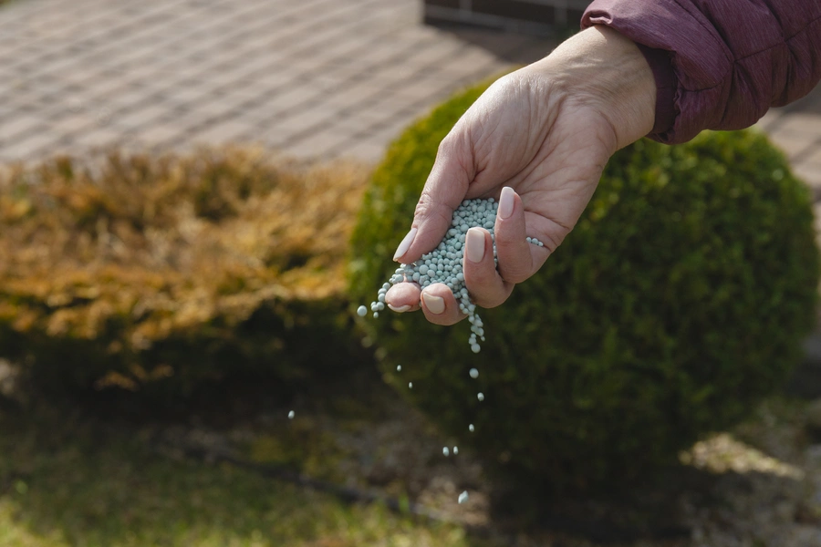 How Lawn Fertilizing Affects The Environment And Your Lawn Keller, TX How Lawn Fertilizing Affects The Environment And Your Lawn Keller, TX