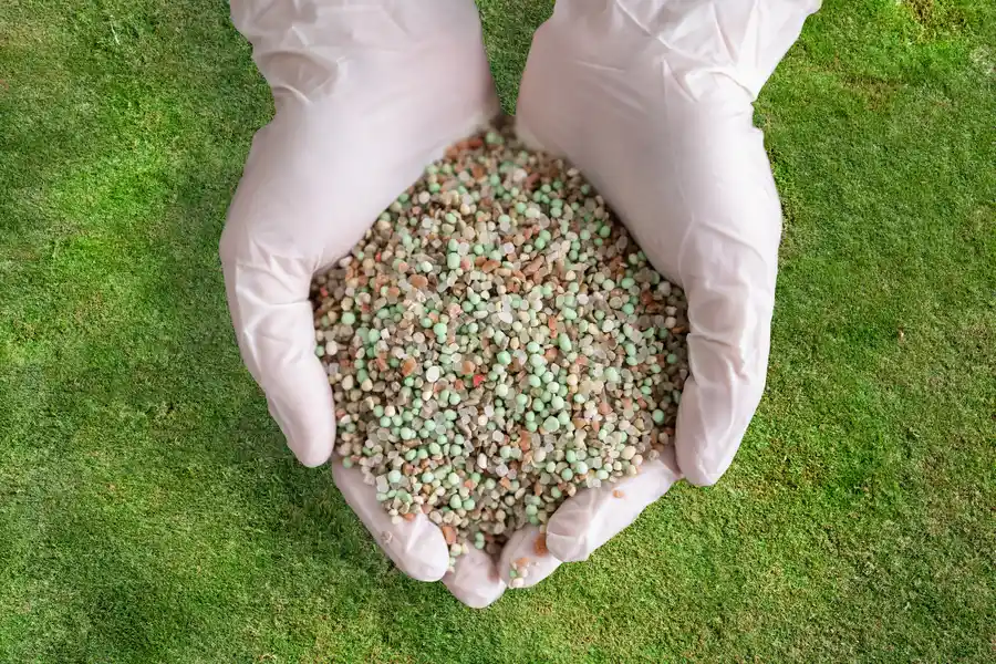 How Lawn Fertilizing Affects The Environment And Your Lawn in Keller, TX How Lawn Fertilizing Affects The Environment And Your Lawn in Keller, TX
