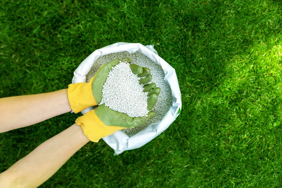 The Best Time To Apply Lawn Fertilizer For Optimal Results Keller, TX The Best Time To Apply Lawn Fertilizer For Optimal Results Keller, TX