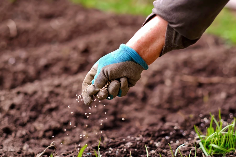 The Best Time To Apply Lawn Fertilizer For Optimal Results in Keller, TX The Best Time To Apply Lawn Fertilizer For Optimal Results in Keller, TX
