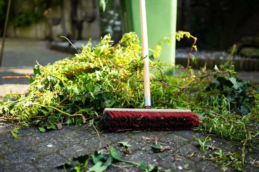 The Importance Of Regular Weed Control In Landscaping in Keller, TX The Importance Of Regular Weed Control In Landscaping in Keller, TX